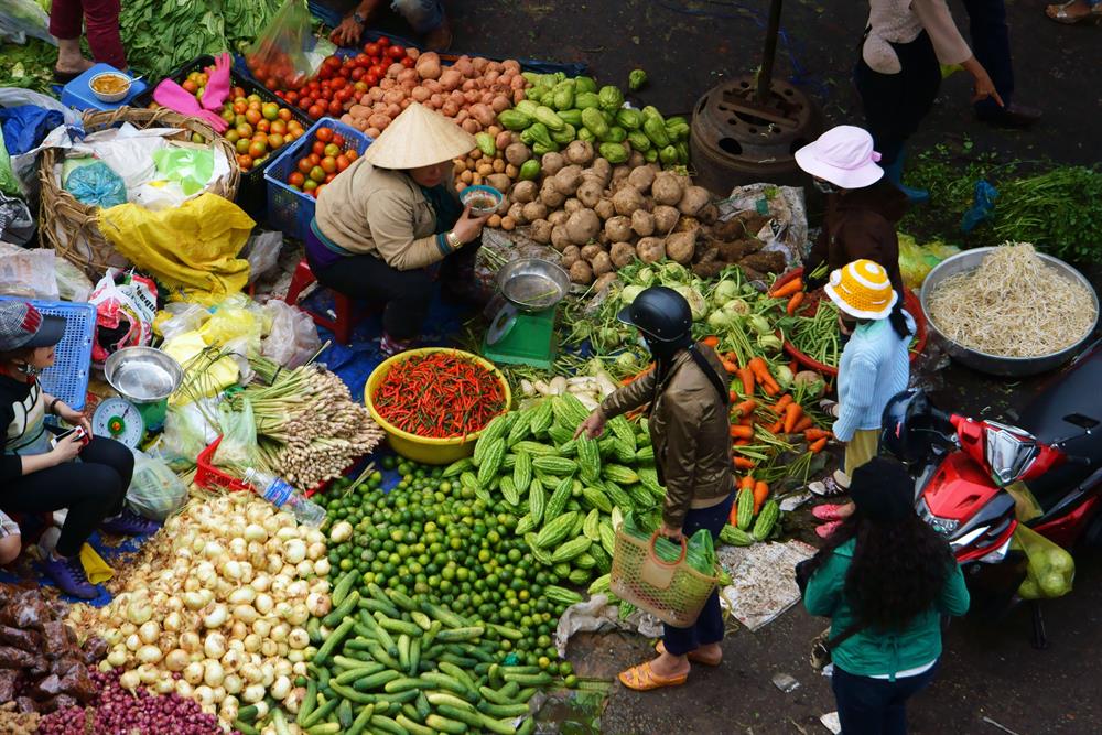 Accelerating Food and Water Security: Role of the UNFSS