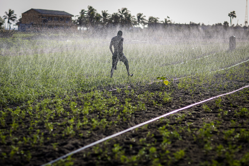 Enabling Investment In Irrigation In Sub Saharan Africa